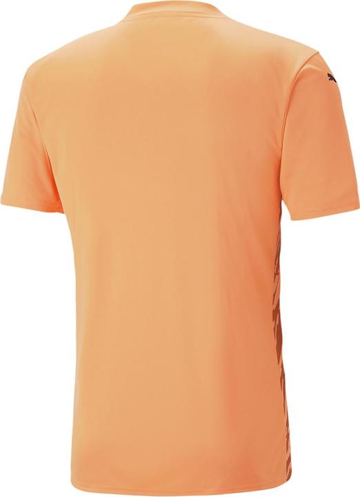 Actual product image Puma teamULTIMATE Jersey Jr (128)