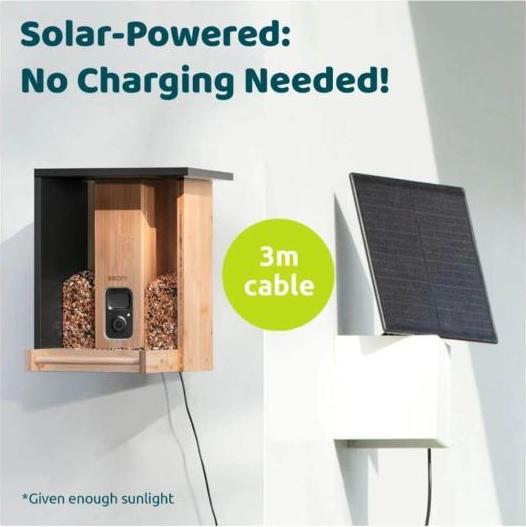 Produktbild Birdfy Futterautomat Bamboo AI im Abonnement + Solarpanel