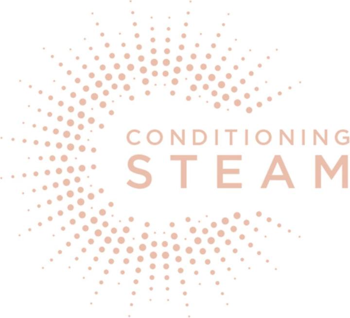 Actual product image BaByliss Lisseur Steam (Steam straightener)
