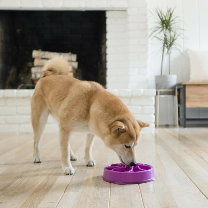 Produktbild Outward Hound Fun Feeder Mini
