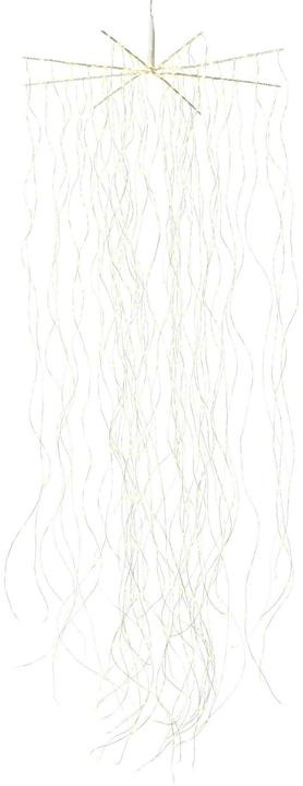 Actual product image STT Angel Hair