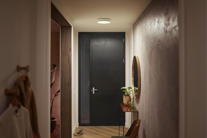 Actual product image Philips Hue White Ambiance Enrave (1200 lm)