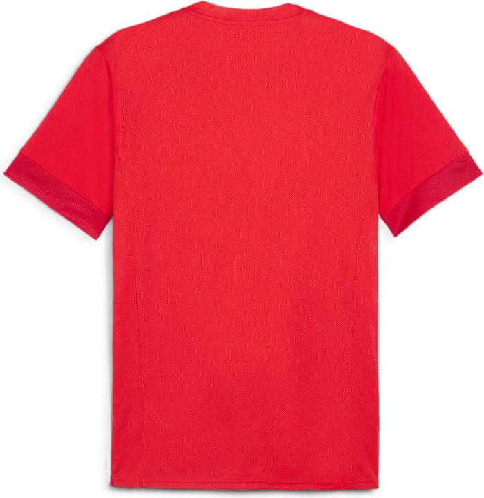 Image du produit Puma teamGOAL Matchday Jersey (L)