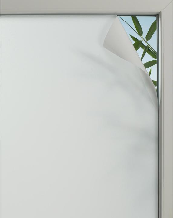 Immagine prodotto Gardinia Privacy (45 x 150 cm)