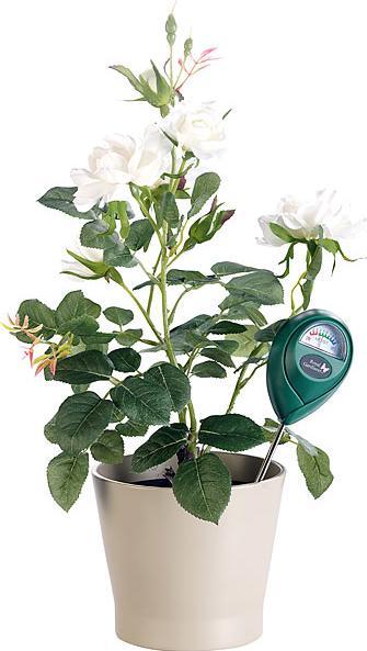 Image du produit Royal Gardineer Humidimètre de sol