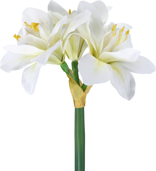 Produktbild EGLO LIVING Molave (63 cm)