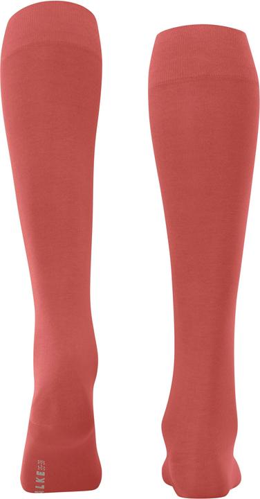 Produktbild Falke Kniestrümpfe (Einzelpack, 35 - 38)