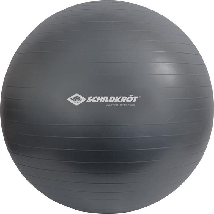 Actual product image Schildkröt Gym ball (75 cm)