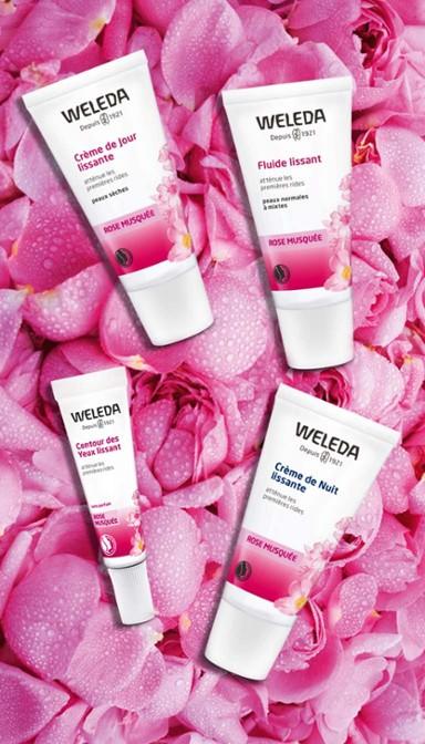 Image du produit Weleda Soin de jour lissant à la rose sauvage (30 ml, Crème de jour)
