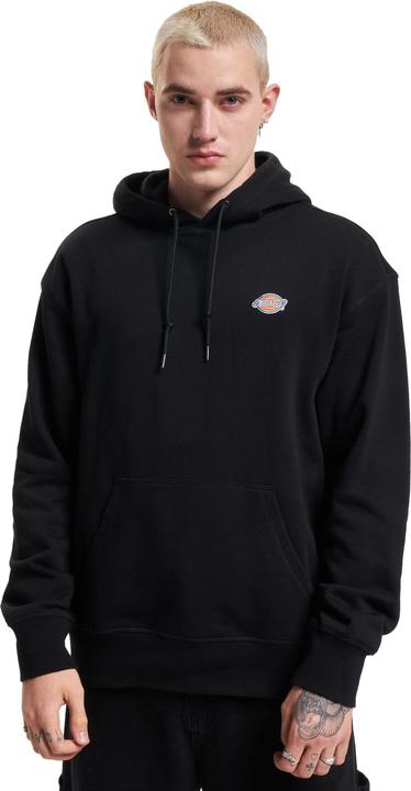 Actual product image Dickies Millersburg Hoodie - 89467 (L)
