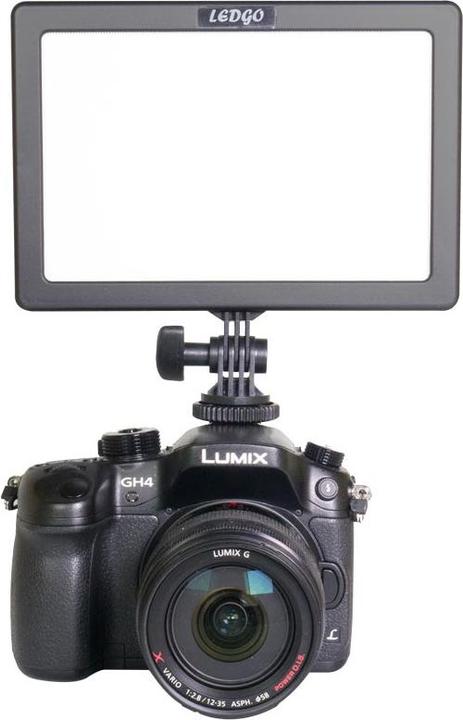 Actual product image Ledgo LG-E116C photo studio continuous lighting
