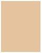 Produktbild Erborian Super BB (Nude)