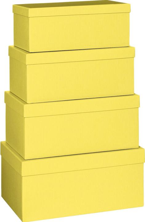 Immagine prodotto Stewo Scatola regalo (Scatola da regalo, 4 x)