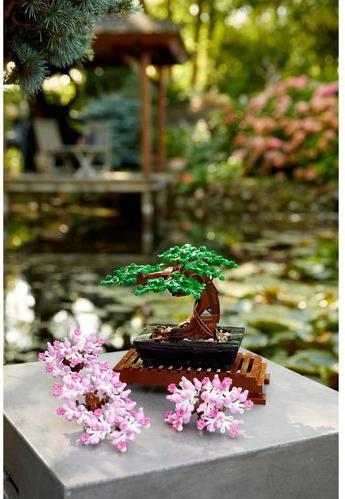Image du produit LEGO Bonsaï (10281, LEGO Botanical, LEGO Icons)