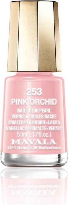 Pink orchid