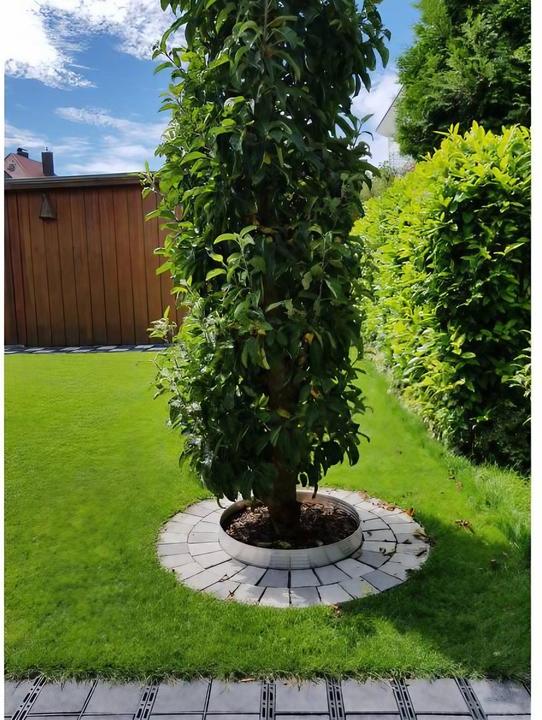 Produktbild Green Split Baumring aus Alu Höhe 140 mm Durchmesser 0.6 m (14 cm)