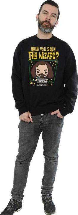 Produktbild Sirius Black Azkaban Junior Sweatshirt (M)