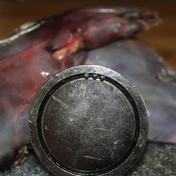 Image du produit Magnetar Aimant de chasse aimant de grêle 300Kg - 11MM