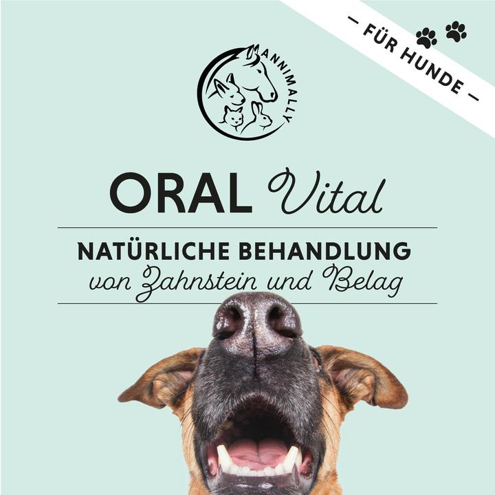 Produktbild Annimally Oral Vital XL 350g (Adult, 1 Stk., 350 g)