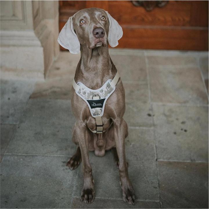 Actual product image Hunter Harness Camouflage Divo for dogs Beige L-XL (Dog, General)