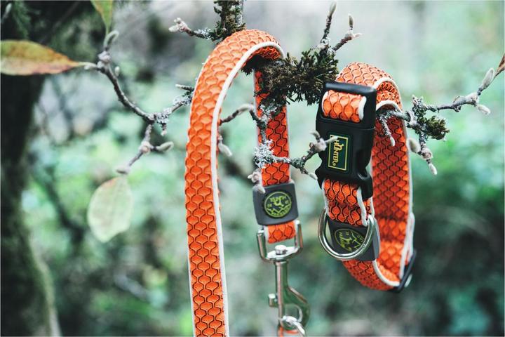 Produktbild Hunter Hundehalsband Hilo Vario Basic (M, L, Hund, Hundesport)