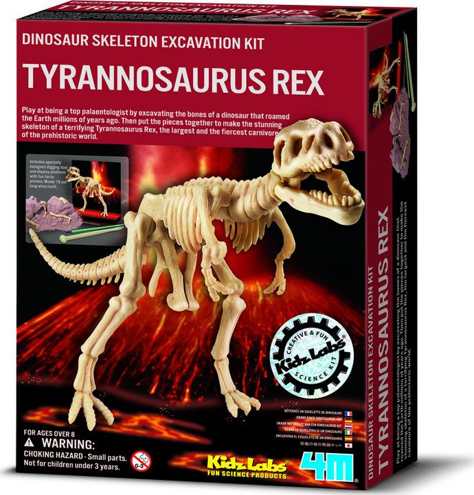Actual product image 4M Dinosaur Excavation Tyrannosaurus Rex