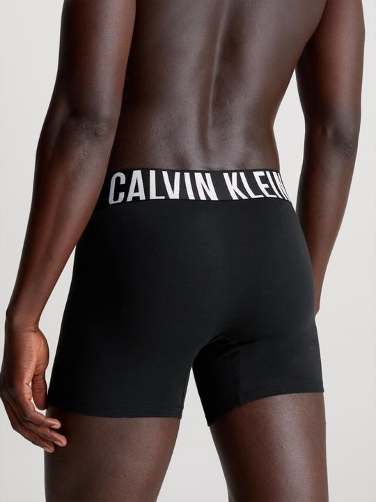 Actual product image Calvin Klein Boxer Brief 3pk (L, pack of 3)