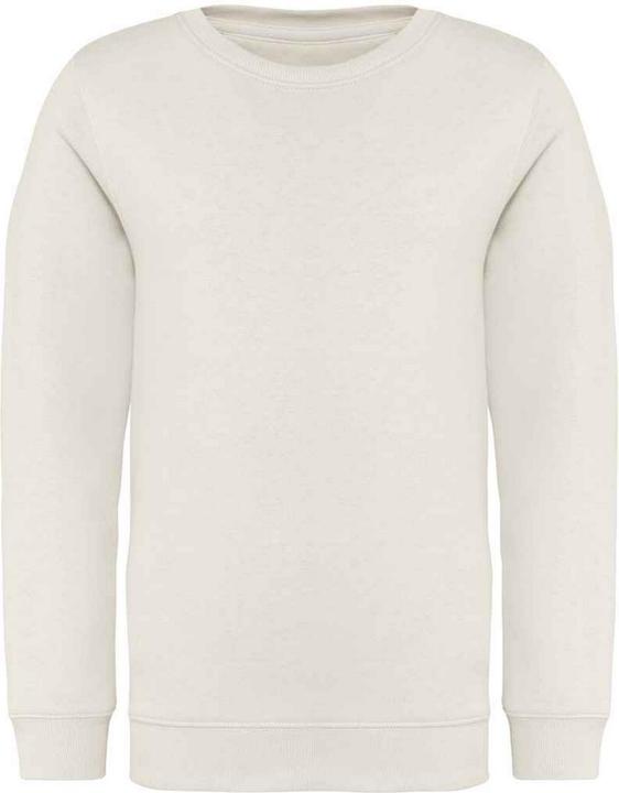 Native Spirit Sweatshirt