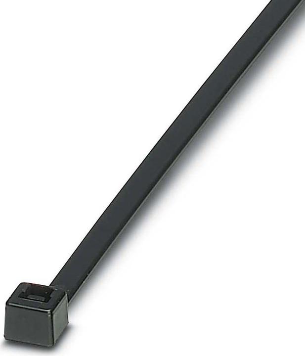 Actual product image Phoenix Contact Cable tie (Plastic cable ties, 160 mm, 100 pcs.)