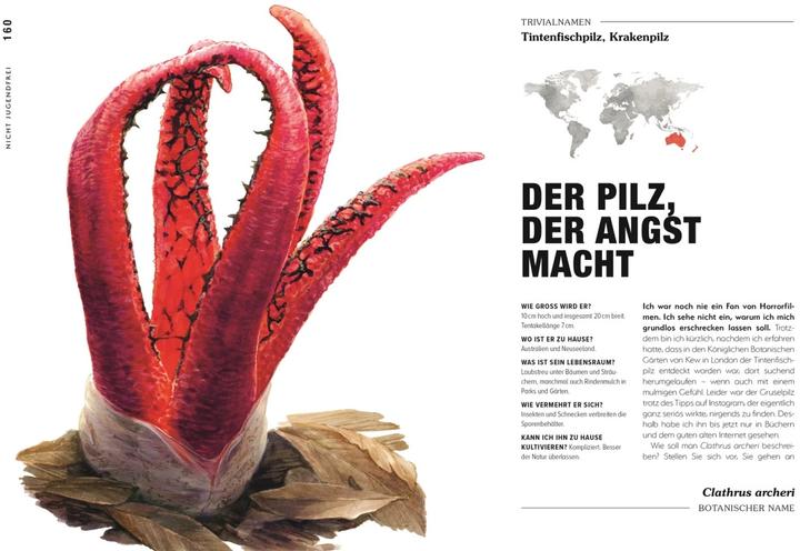 Image du produit Kuriose Pflanzen (Allemand, Michael Perry, Reinhard Ferstl, Éditeur DK, 2023)