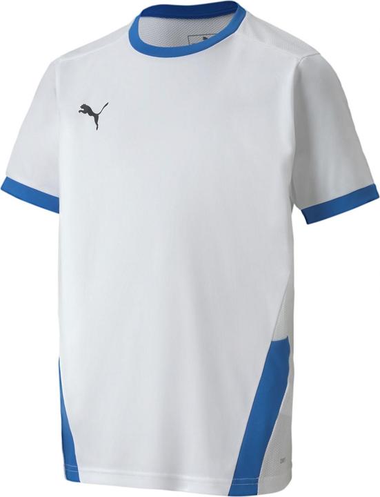 Produktbild Puma teamGOAL 23 Jersey jr-704160 (116)