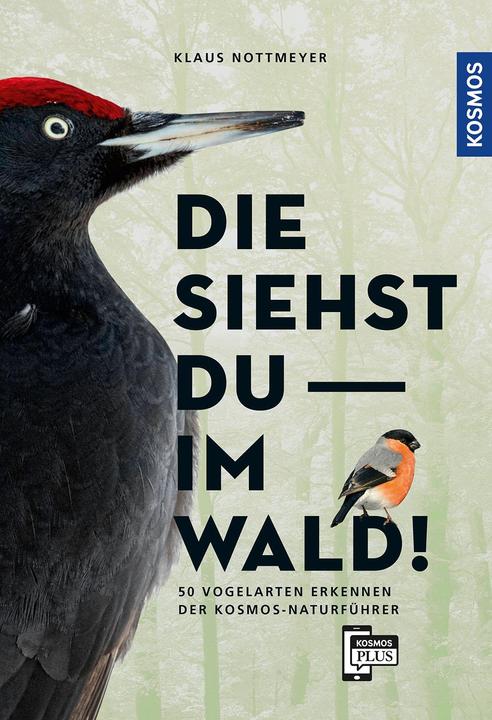 Produktbild Kosmos Die siehst du im Wald! 64 Vogelarten erkennen (Deutsch, Klaus Nottmeyer, 2021)