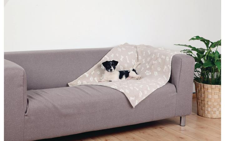 Actual product image Trixie Kenny (Dog)