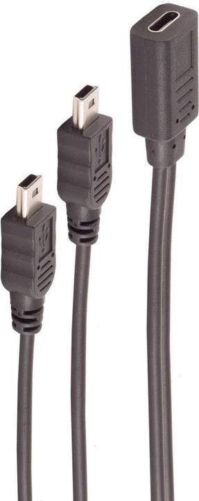 Actual product image Shiverpeaks ®-BASIC-S- adapter, USB C socket to 2x USB Mini B plug, Y-cable, 2.0, black, 0.3m (0.30 m, USB 2.0)