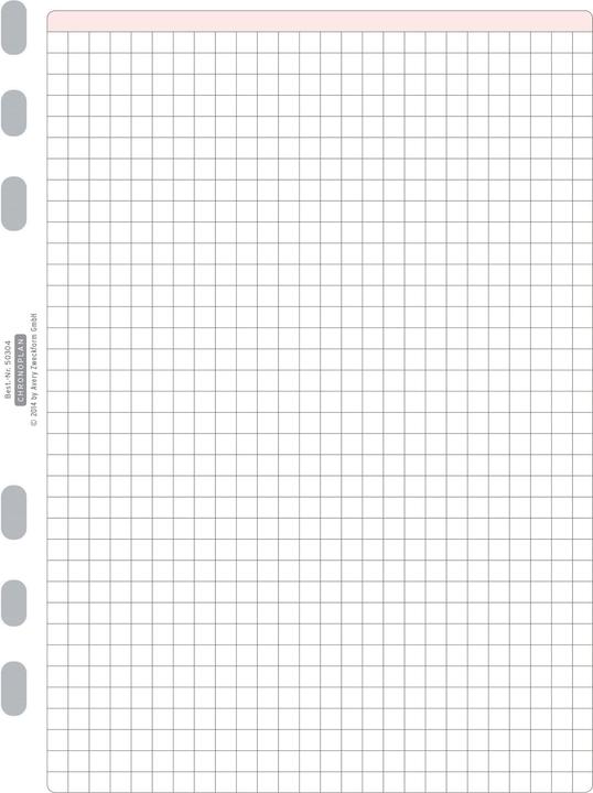 Actual product image Chronoplan Checkered sheet (A5, German)