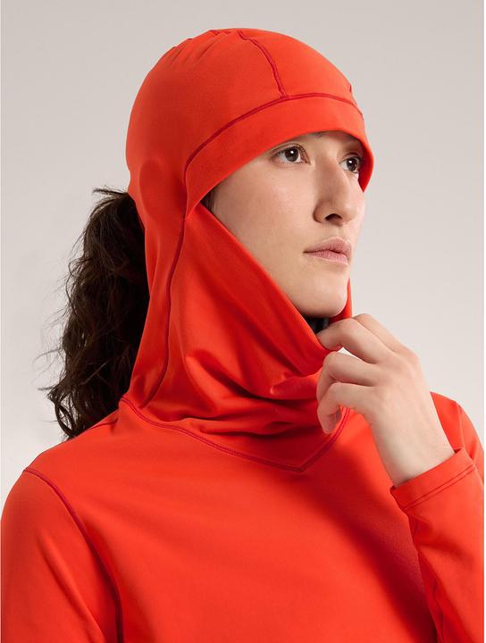 Image du produit Arc'teryx Rho Hoodie (M)