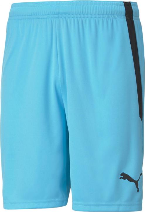 Actual product image Puma teamLIGA Shorts-704924 (S)