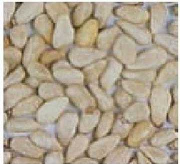 Produktbild Schweizer Pinienkerne (2 x, 0.20 kg)