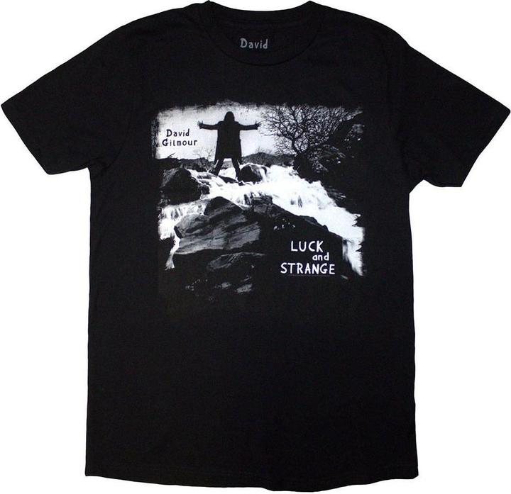 Actual product image Universal Textiles Unisex Adult Luck & Strange Brighton Album Back Print T-Shirt (S)