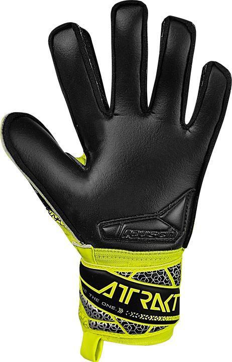 Immagine prodotto Reusch Football Attrakt Freegel Silver (7.5)