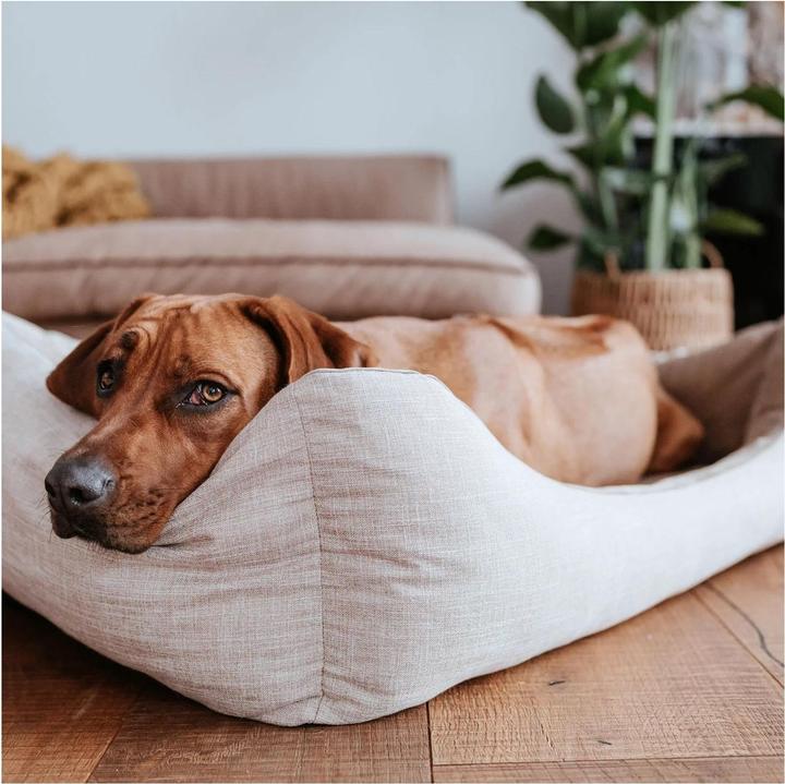 Immagine prodotto Hunter Letto ortopedico per cani Seattle (Cane)