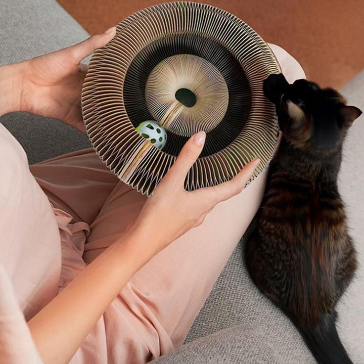 Actual product image Hermex Cat toys (Cat activity toy)