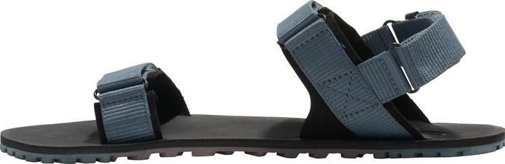 Actual product image Xero Shoes D-Trail (41)