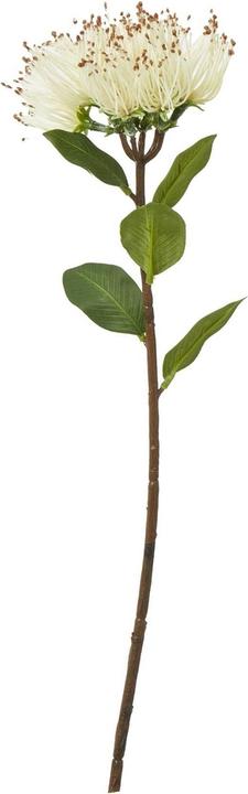 Produktbild Hill Interiors Künstliche Pflanze (45 cm)