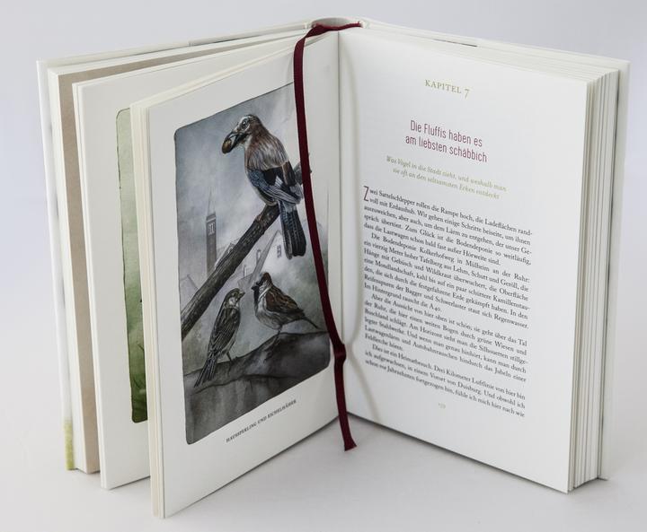 Image du produit Federnlesen (Allemand, Johanna Romberg, 2018)