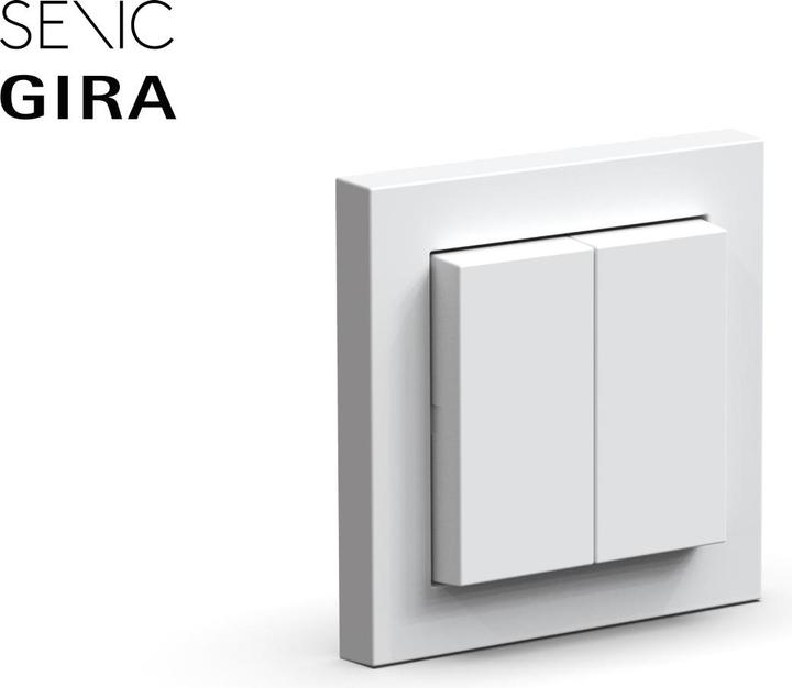 Actual product image Senic Friends of Hue
