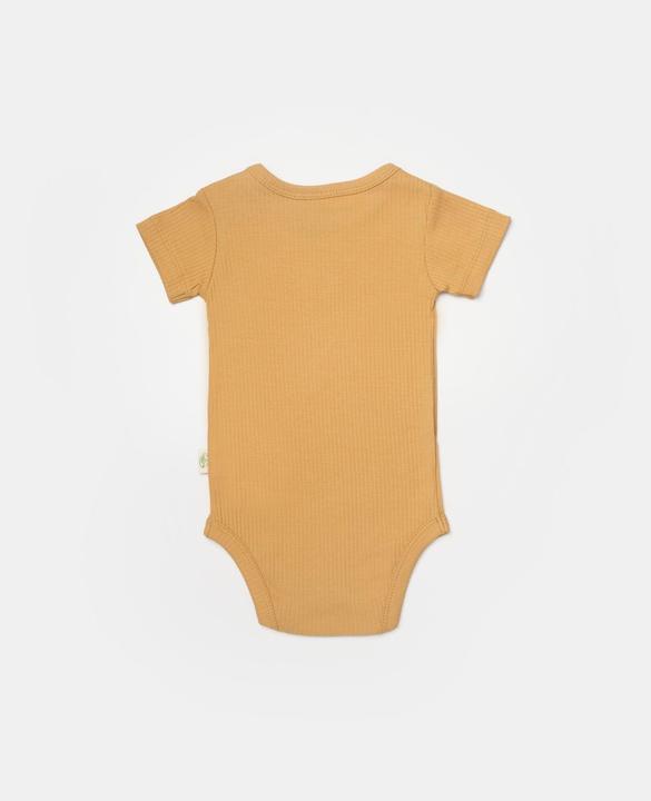 Actual product image BabyCosy 2 Pcs short sleeved Body (62)