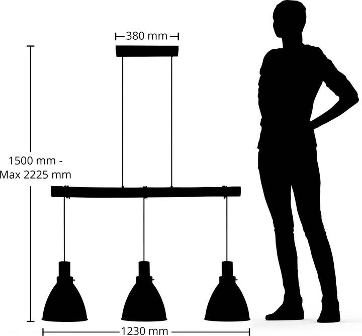Image du produit Lindby Trebale 3 Lampe à suspendre Black/Wood (E27)