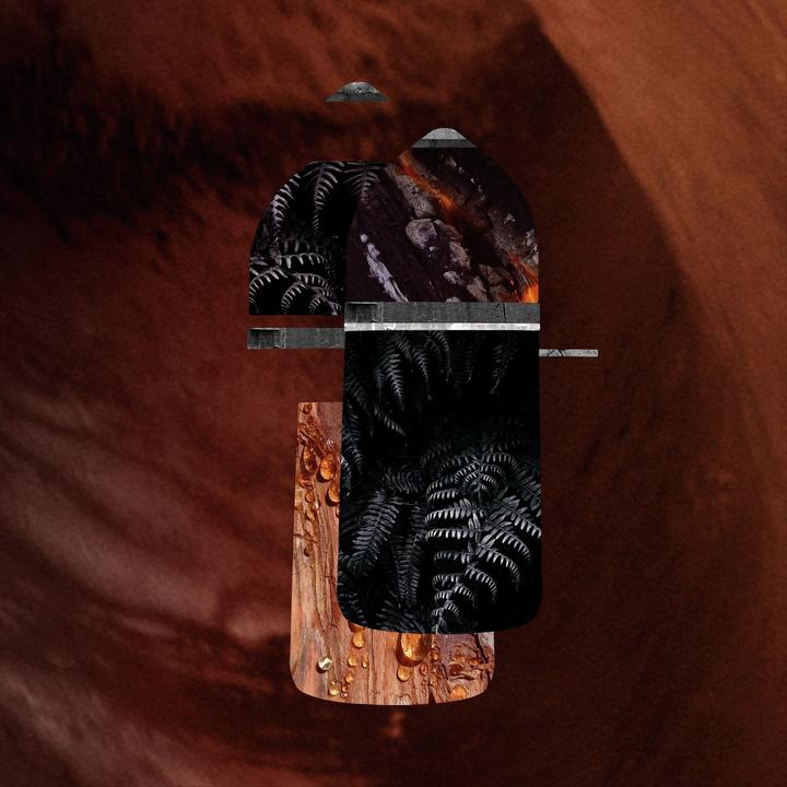 Actual product image Cartier Pasha de Noir Absolu (Eau de parfum, 100 ml)