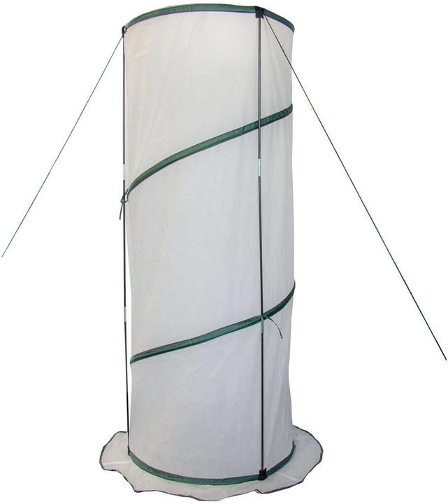 Produktbild Colibri Pop-Up